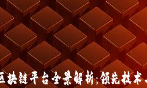 
美国苹果区块链平台全景解析：领先技术与创新应用