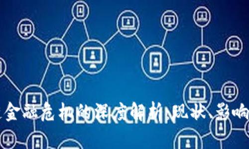 区块链金融危机的深度解析：现状、影响与未来
