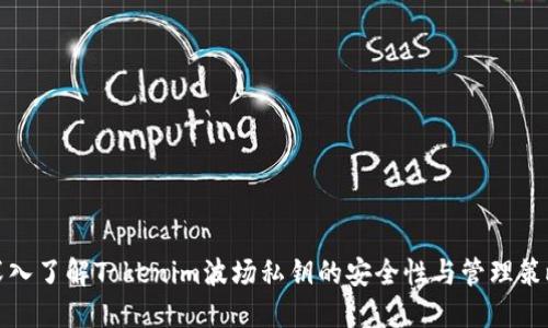 深入了解Tokenim波场私钥的安全性与管理策略