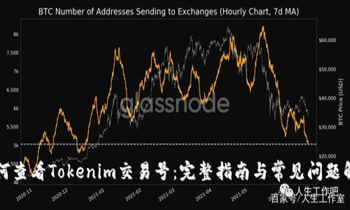 如何查看Tokenim交易号：完整指南与常见问题解析