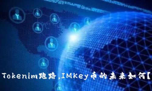 Tokenim跑路，IMKey币的未来如何？