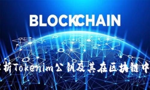 深入解析Tokenim公钥及其在区块链中的应用