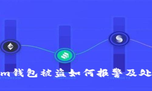 Tokenim钱包被盗如何报警及处理措施