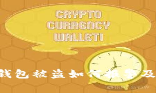 Tokenim钱包被盗如何报警及处理措施