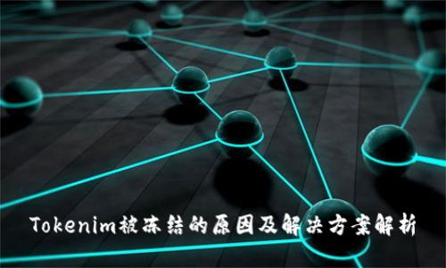 Tokenim被冻结的原因及解决方案解析