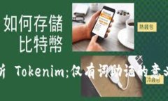 深度解析 Tokenim：仅有词助