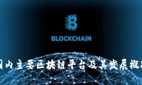 国内主要区块链平台及其发展概况