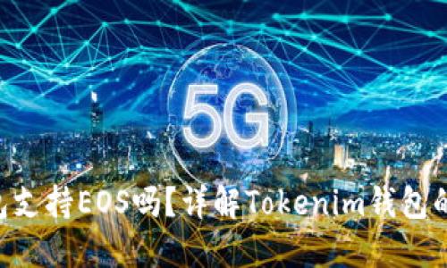 Tokenim钱包支持EOS吗？详解Tokenim钱包的功能与用途